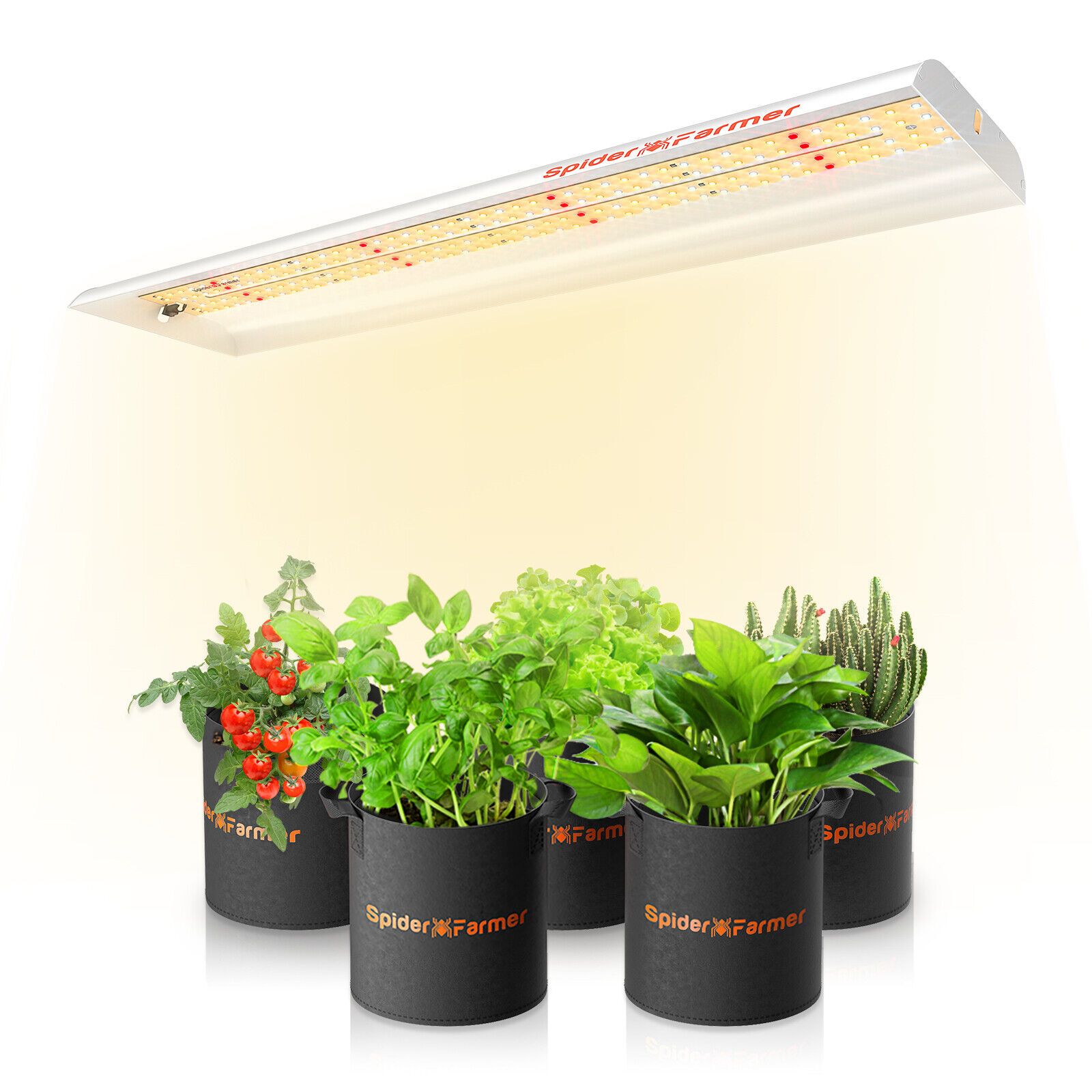 Spider Farmer SF300 LED Grow Light Full Spectrum Indoor Hydroponics Plants Veg